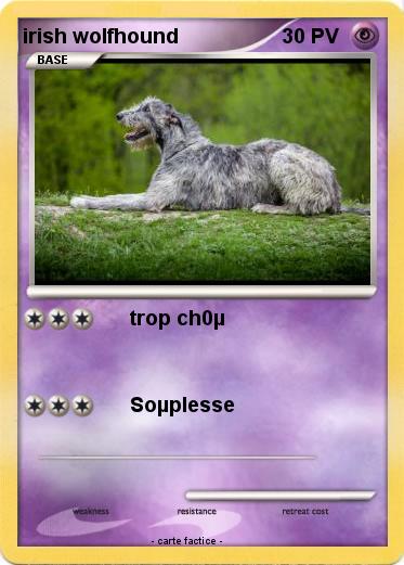 Pokemon irish wolfhound