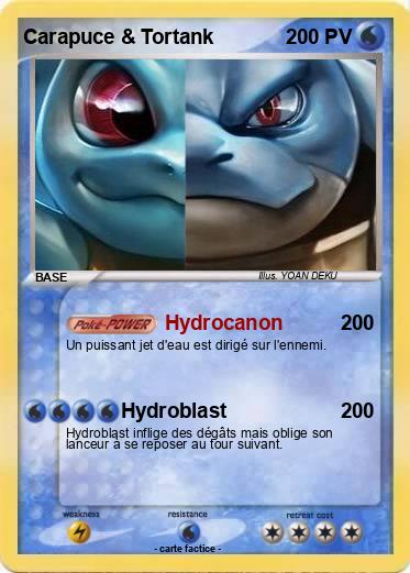 Pokemon Carapuce & Tortank