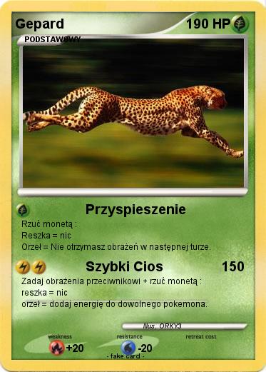 Pokemon Gepard