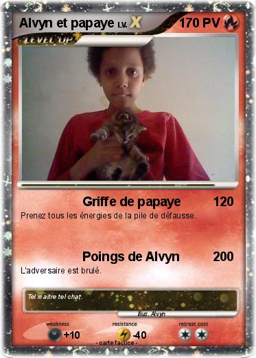 Pokemon Alvyn et papaye