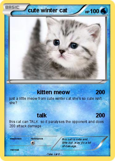 Pokemon cute winter cat