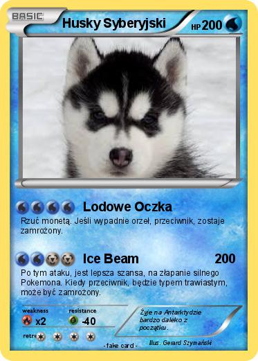 Pokemon Husky Syberyjski