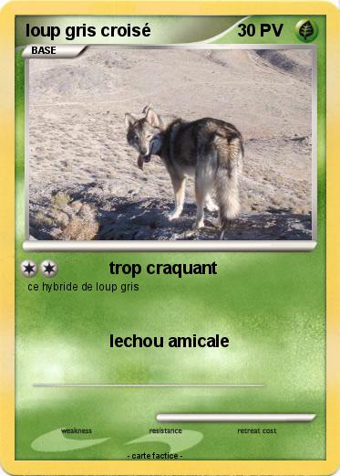 Pokemon loup gris croisé