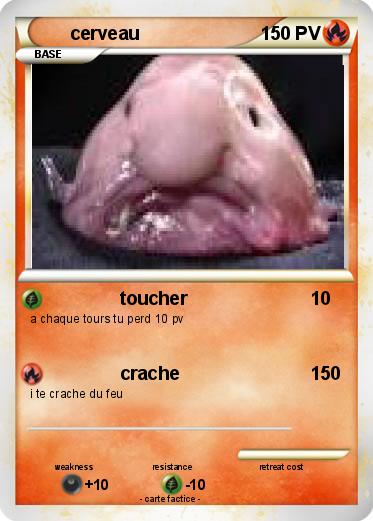 Pokemon cerveau