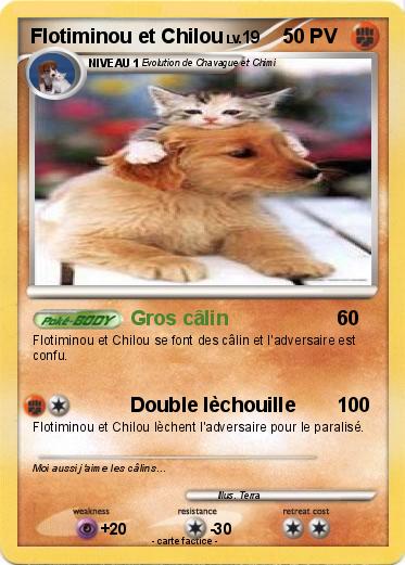 Pokemon Flotiminou et Chilou