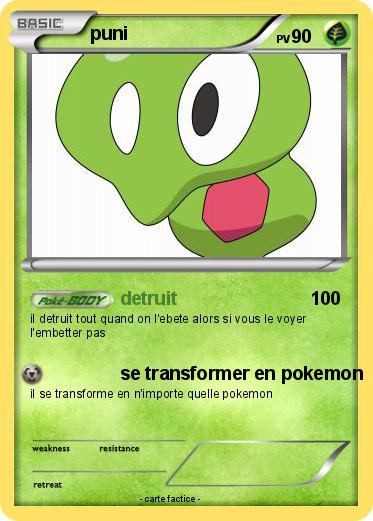 Pokemon puni