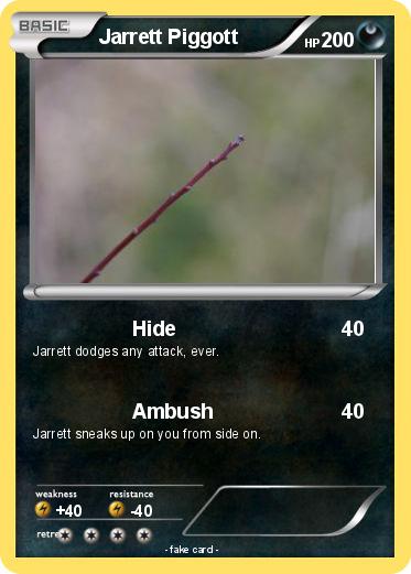 Pokemon Jarrett Piggott