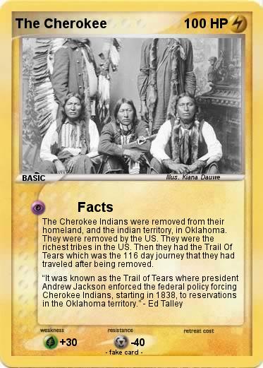 Pokemon The Cherokee
