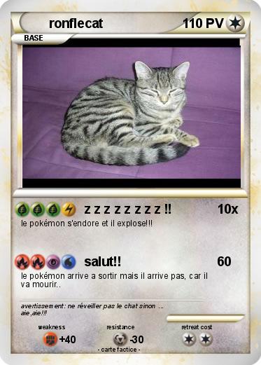 Pokemon ronflecat