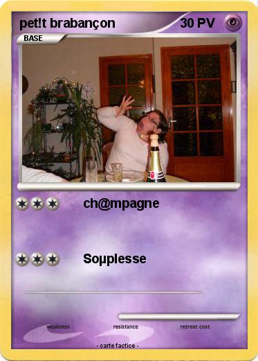 Pokemon pet!t brabançon