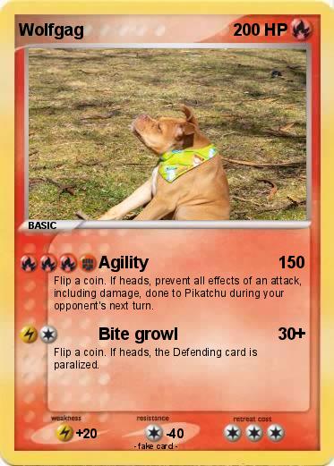 Pokemon Wolfgag