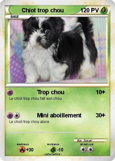 Pokemon Chiot trop chou