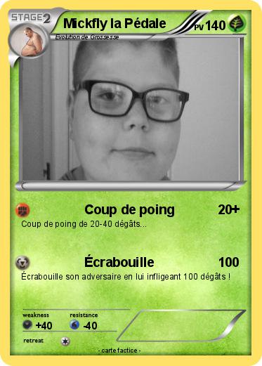 Pokemon Mickfly la Pédale