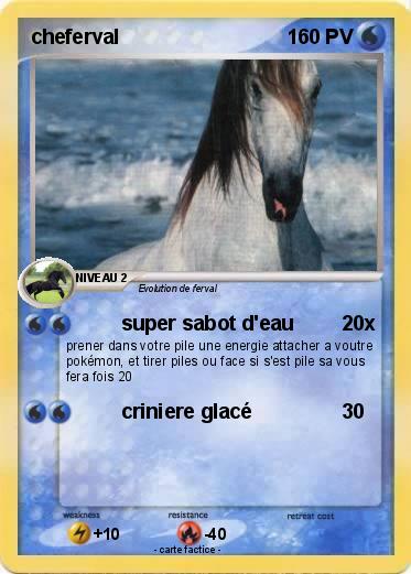 Pokemon cheferval