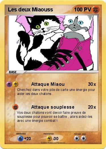Pokemon Les deux Miaouss 