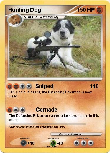 Pokemon Hunting Dog