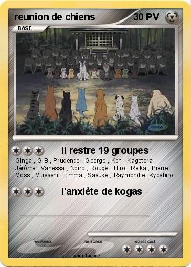 Pokemon reunion de chiens