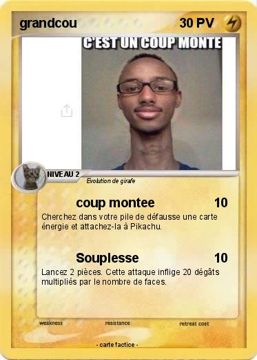 Pokemon grandcou