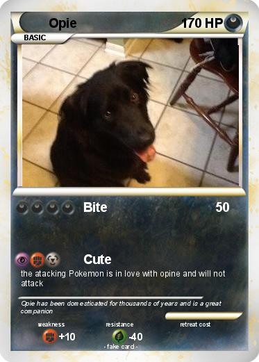 Pokemon Opie