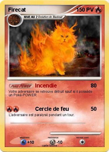 Pokemon Firecat