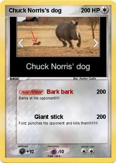 Pokemon Chuck Norris's dog