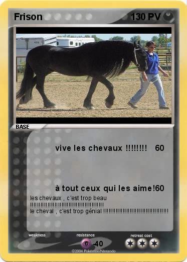 Pokemon Frison