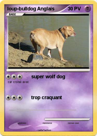 Pokemon loup-bulldog Anglais