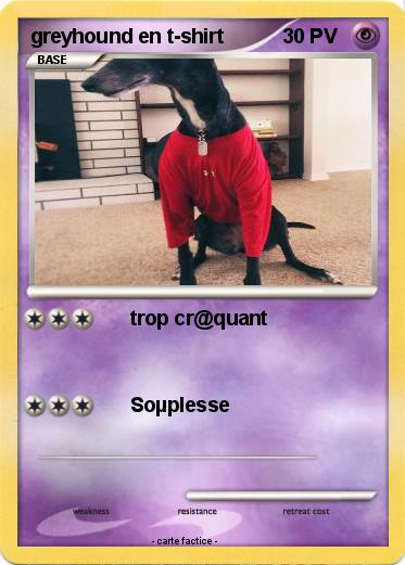 Pokemon greyhound en t-shirt