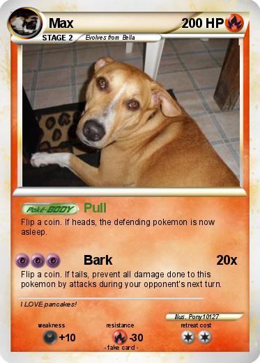 Pokemon Max