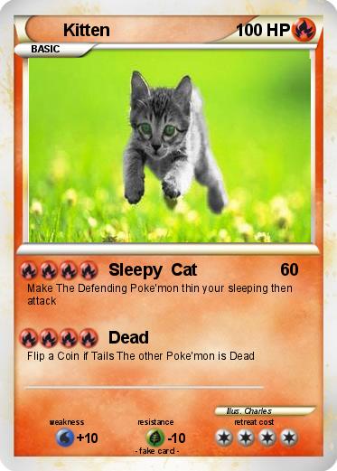 Pokemon Kitten