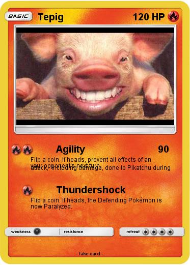 Pokemon Tepig