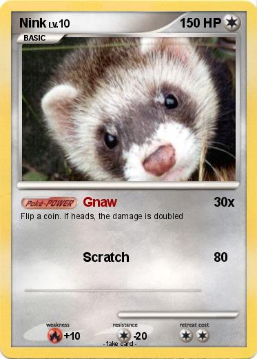 Pokemon Nink