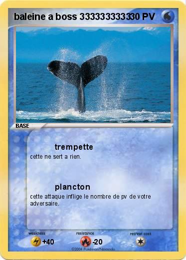 Pokemon baleine a boss 3333333333