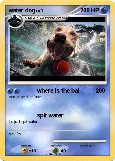 Pokemon water dog
