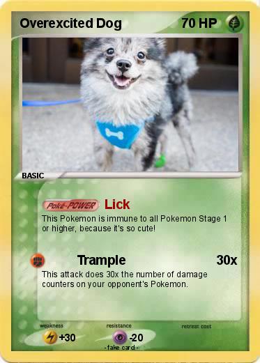 Pokemon Overexcited Dog