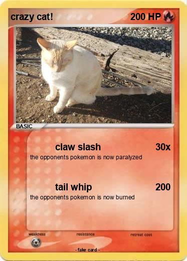 Pokemon crazy cat!