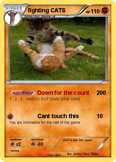Pokemon fighting CATS