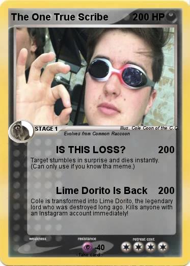 Pokemon The One True Scribe