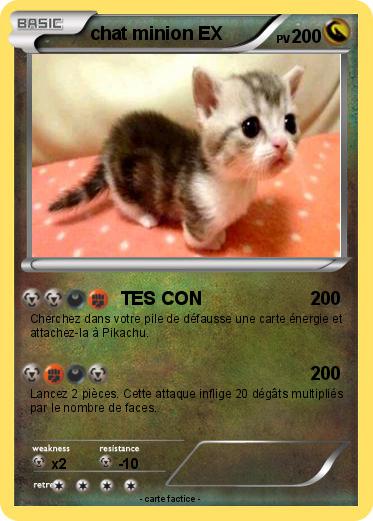 Pokemon chat minion EX