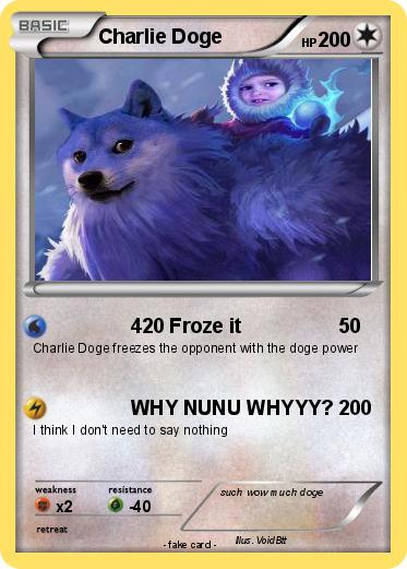 Pokemon Charlie Doge