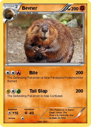Pokemon Bevner