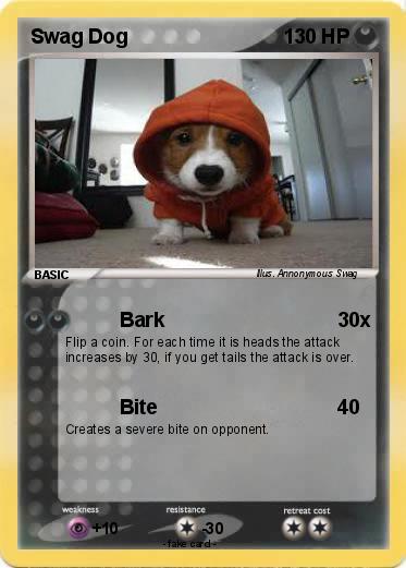 Pokemon Swag Dog
