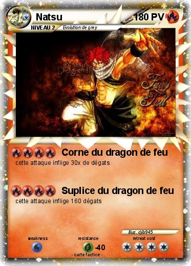 Pokemon Natsu