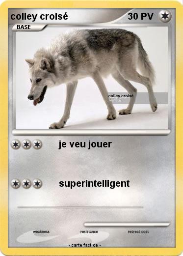 Pokemon colley croisé