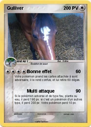 Pokemon Gulliver