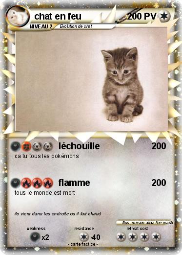 Pokemon chat en feu