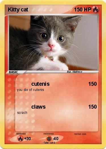 Pokemon Kitty cat