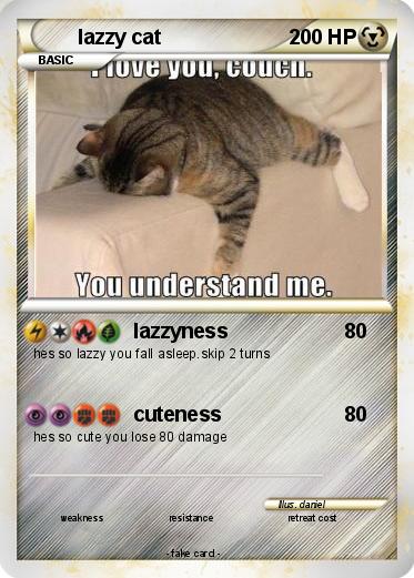 Pokemon lazzy cat
