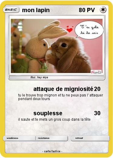 Pokemon mon lapin