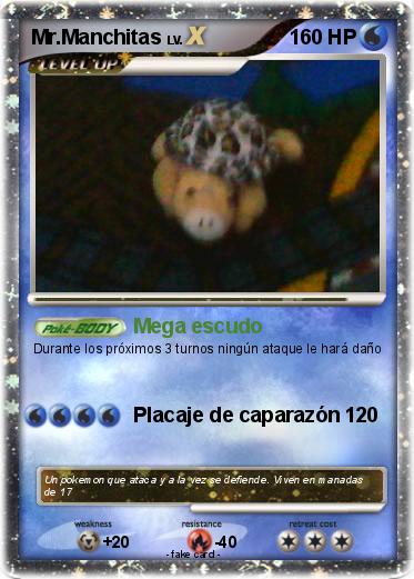Pokemon Mr.Manchitas